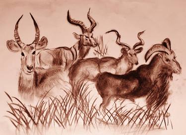 Print of Modern Animal Drawings by Gregory Bolton