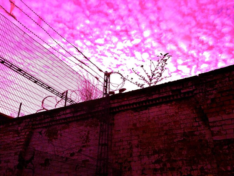 Cotton Candy Skies and Razor Wire - Print