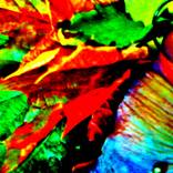Collection Abstract Art