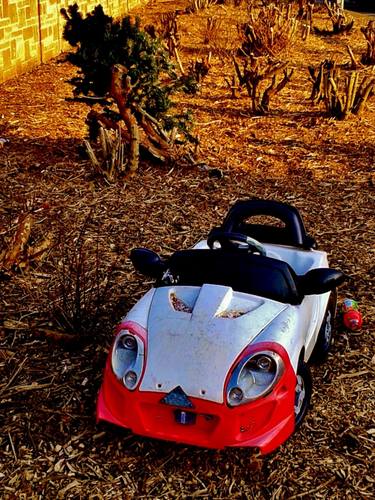 Rain Forest 'Off Road Parking' thumb