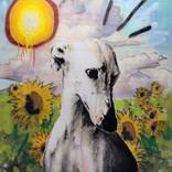 ROI SOLEIL by Jérôme Rochette
