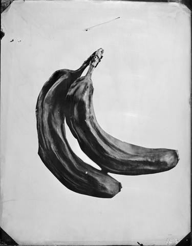 Bananas-1 thumb