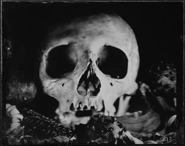 Print of Abstract Mortality Photography by Graham Clark