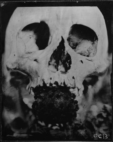 Print of Abstract Mortality Photography by Graham Clark