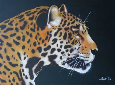 Print of Animal Paintings by Arthur Isayan
