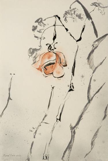 Original Minimalism Floral Drawings by Marcel Garbi