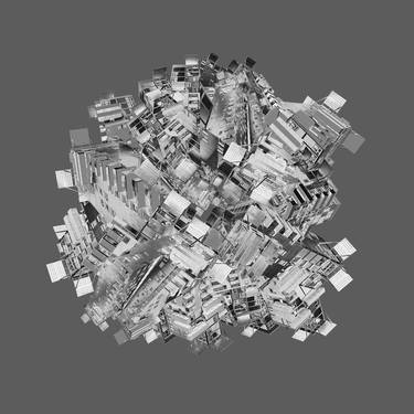 ‘Architectural Flora 2B’ in silver bw, small size edition - Limited Edition 1 of 9 thumb