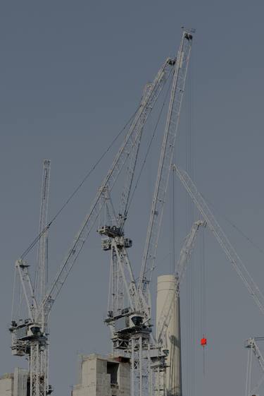 Cranes (10) - Limited Edition of 6 thumb