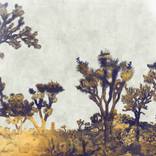 Collection Design Style: English Countryside