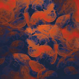 Collection Abstract
