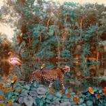 Collection Landscape