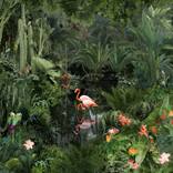 Collection Summertime Flora and Fauna