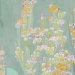 Collection Photography