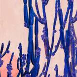 Collection Art for a Winter Refresh