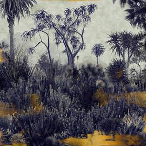 Desert Path