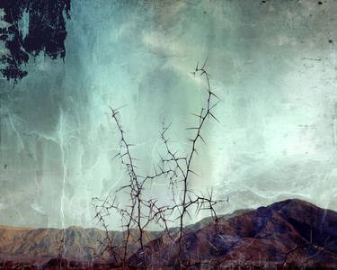 Original Abstract Landscape Photography by Nadia Attura