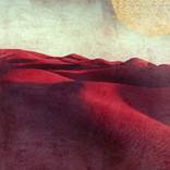 Collection Landscapes
