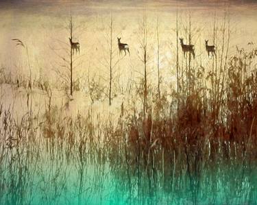 Original Abstract Animal Photography by Nadia Attura