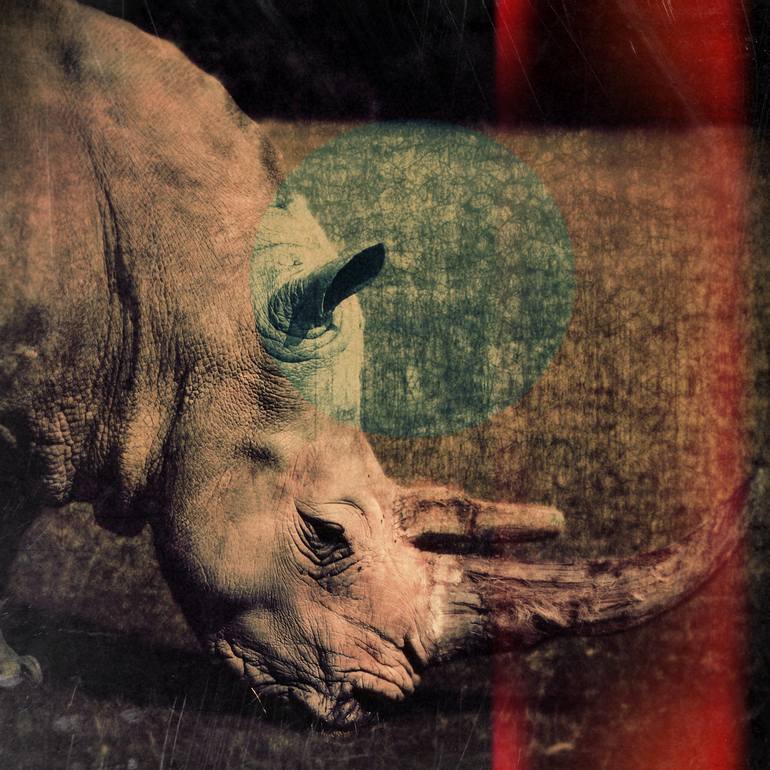 Rhinoceros Cinema LIMITED EDITION Photography by Nadia Attura | Saatchi Art