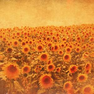 Collection Soft Smiles & Sun: Art that sparks joy (Brooklyn)