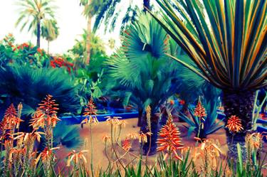 Majorelle wild. Limited edition image