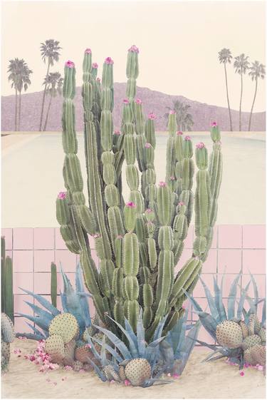 Saatchi Art Artist Nadia Attura; Photography, “Cactus Springs - Limited Edition of 50” #art
