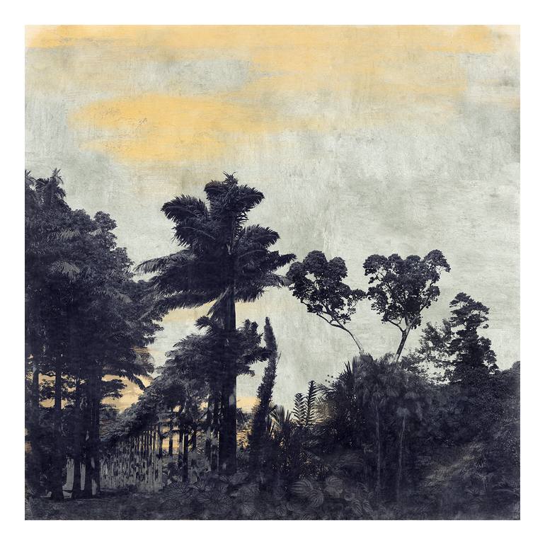 Original Fine Art Botanic Photography by Nadia Attura