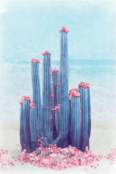 Cactus beach - Limited Edition of 20 thumb
