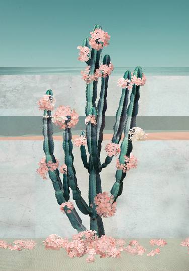Saatchi Art Artist Nadia Attura; Photography, “Cactus Dream - Limited Edition of 70” #art