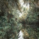 Collection How to Buy Art Guide: Landscapes