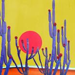 Collection April 22nd