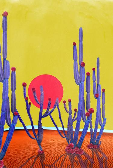 Cactus Sunset - Limited Edition of 10 image