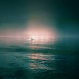 Collection Compassion, Intuition, Depth: Water Signs