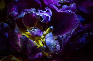 Original Floral Photography by Lu Mazen