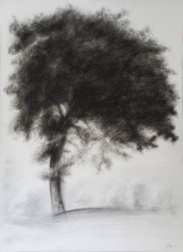 Print of Realism Tree Drawings by Lionel Le Jeune
