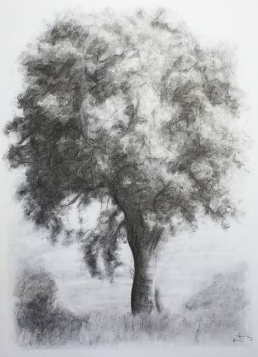 Print of Figurative Tree Drawings by Lionel Le Jeune