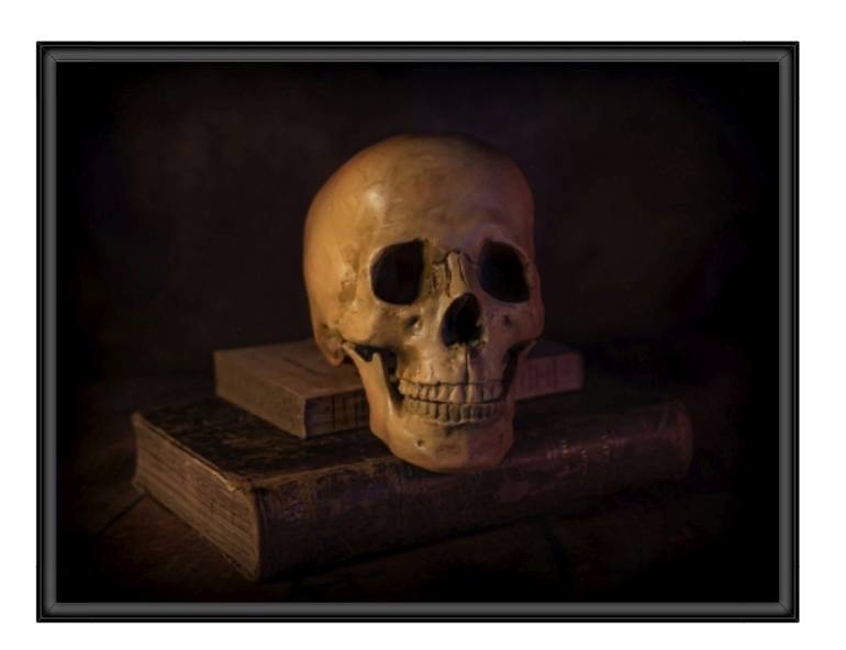 Original Conceptual Still Life Photography by Lionel Le Jeune