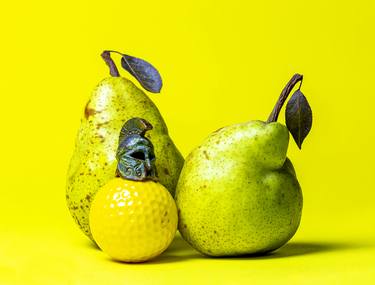 Original Still Life Photography by Lionel Le Jeune