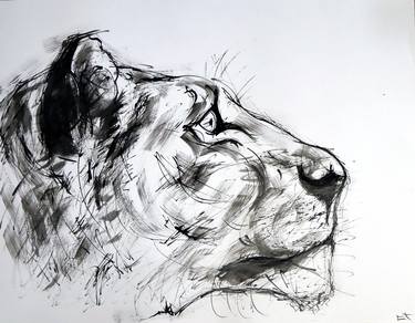 Original Expressionism Animal Drawings by Lionel Le Jeune