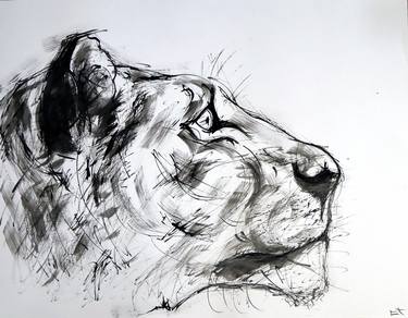 Original Animal Drawings by Lionel Le Jeune