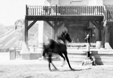 Original Expressionism Horse Photography by Lionel Le Jeune
