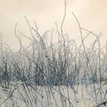 Collection Oversized Works for 2,500 and under