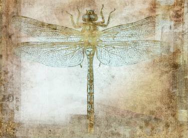 „Dragonfly“ - Limited Edition 1 of 3 thumb
