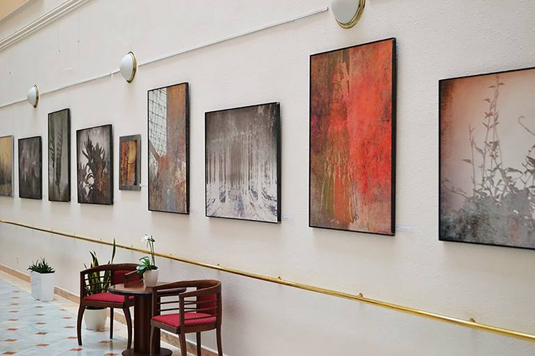 Original Other Botanic Photography by Dagmar Lukes
