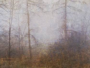 Forest in pastels - Limited Edition of 3 thumb