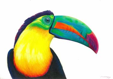 Toucan thumb