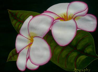 Original Fine Art Botanic Paintings by Anthony Dunphy