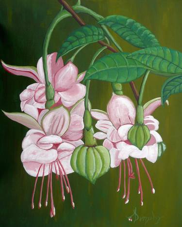 Original Fine Art Floral Paintings by Anthony Dunphy