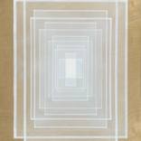 Collection Form & Focus