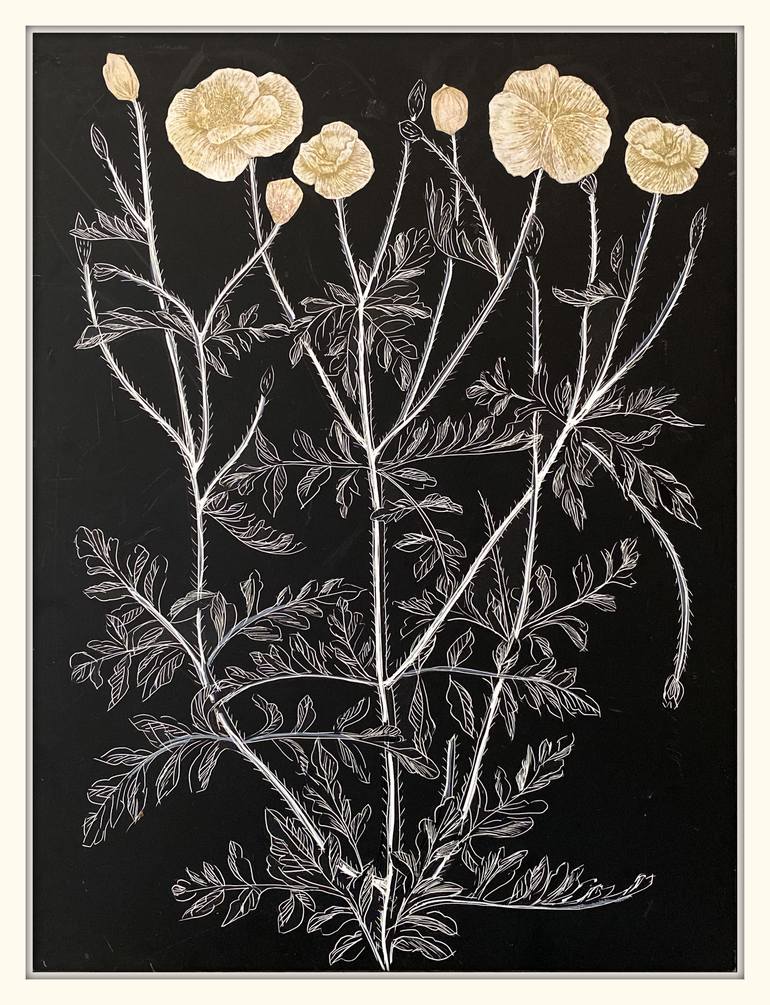 Original Botanic Drawing by karen clark